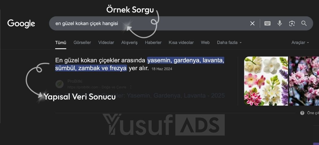 Yapay Zeka Destekli Veri Çıktısı - SGE - YusufADS
